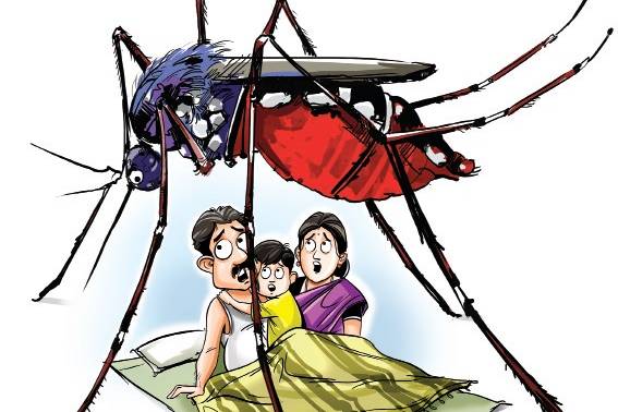 dengue, dengue prevention | Swavalamban Children Rehabilitation Centre  Ujjain